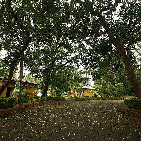 Mpt White Tiger Forest Lodge Tala  Exterior photo