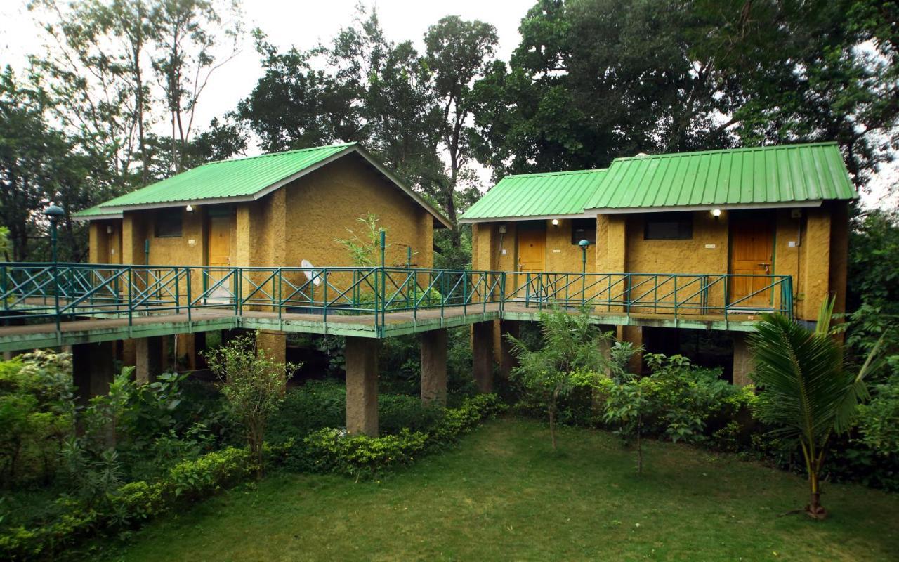 Mpt White Tiger Forest Lodge Tala  Exterior photo
