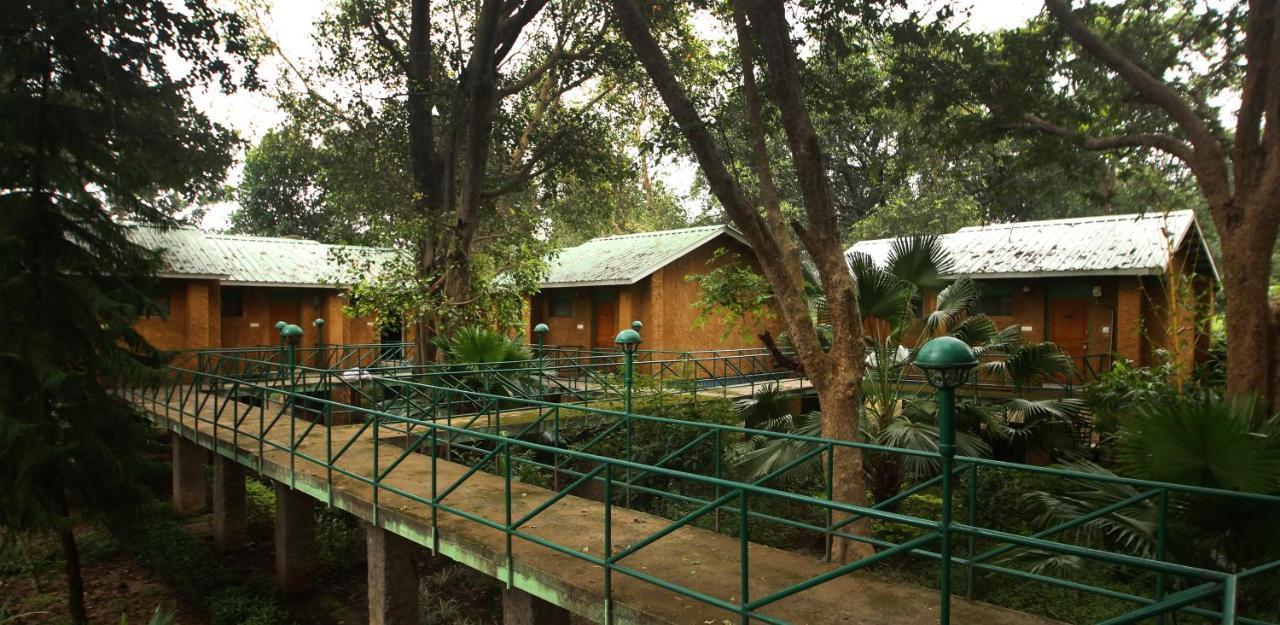 Mpt White Tiger Forest Lodge Tala  Exterior photo