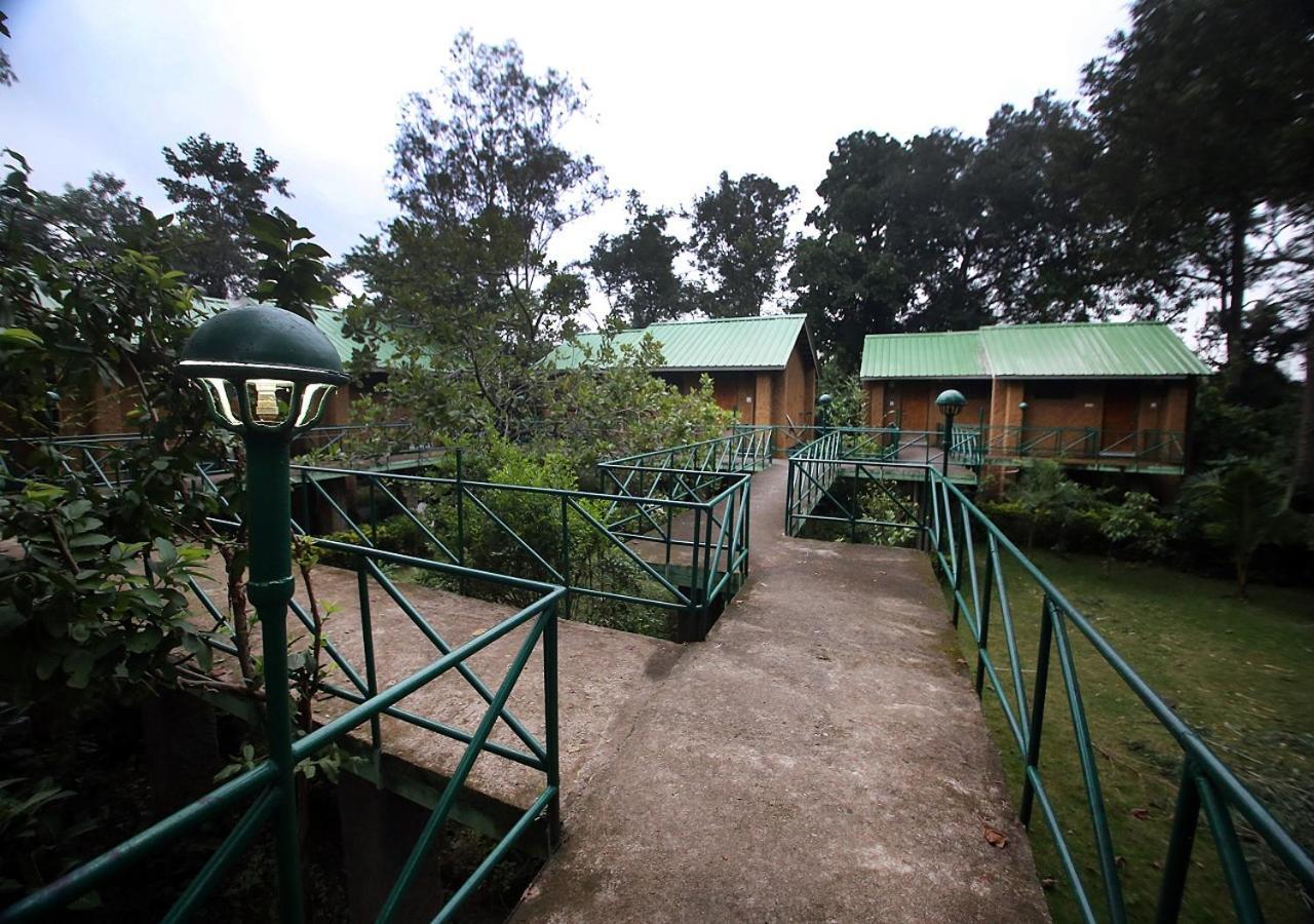 Mpt White Tiger Forest Lodge Tala  Exterior photo