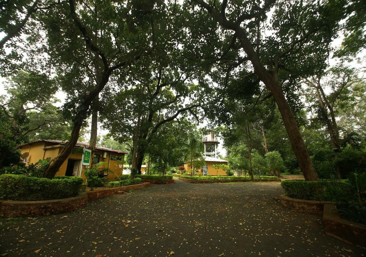 Mpt White Tiger Forest Lodge Tala  Exterior photo